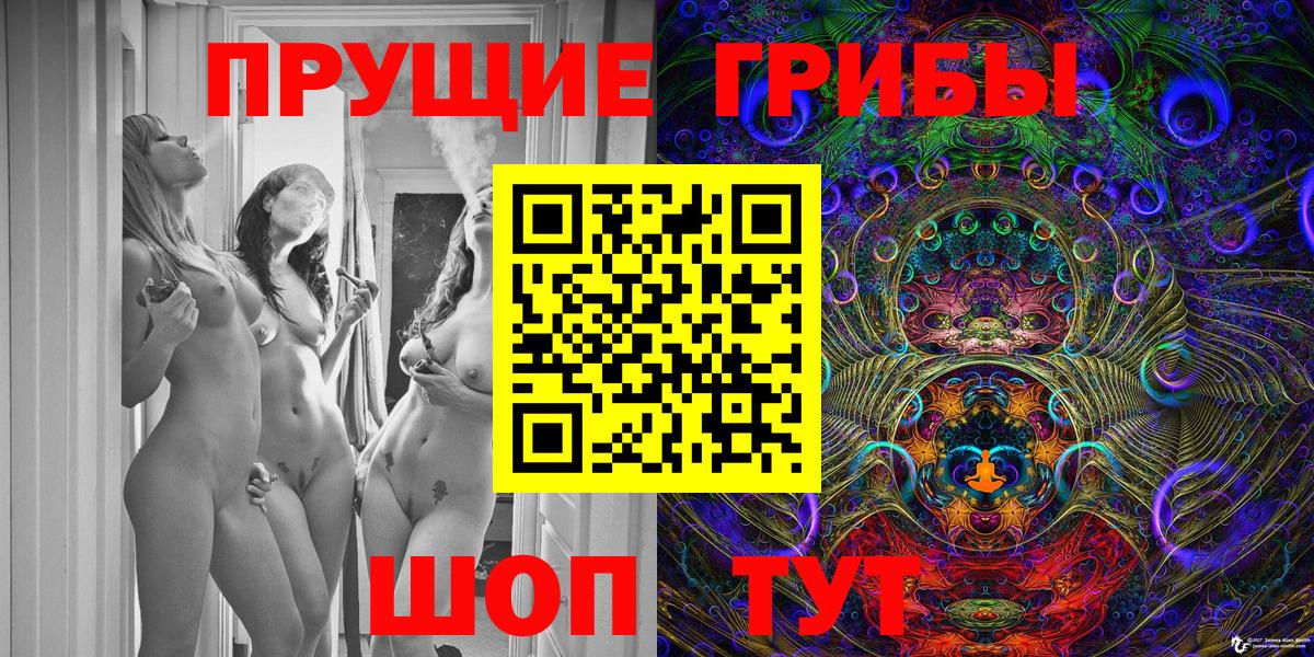 Псилоцибиновые грибы Cubensis Иркутск