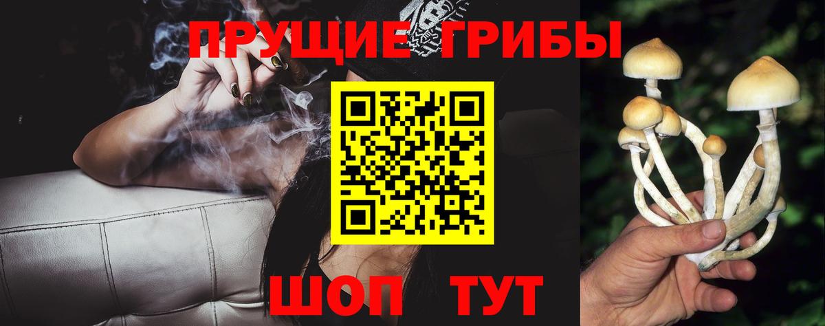 Галлюциногенные грибы прущие грибы  Псилоцибиновые грибы Magic Shrooms  Иркутск  Вход с VPN 